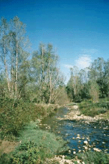 scorcio torrente Crostolo