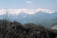 Alto Appennino Reggiano - Parco del Gigante