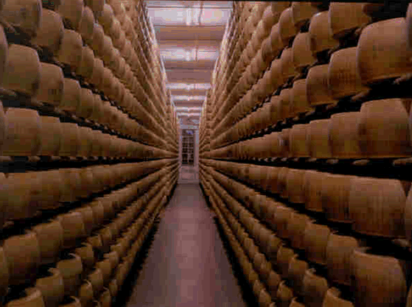 Forme di Parmigiano Reggiano