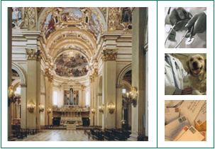 Immagini dell'interno Basilica della Ghiara, un medico, un veterinario, delle buste con i francobolli
